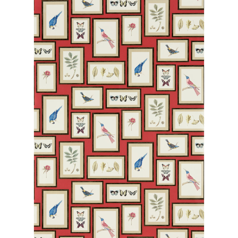 Picture Gallery Wallpaper, Red/Multi