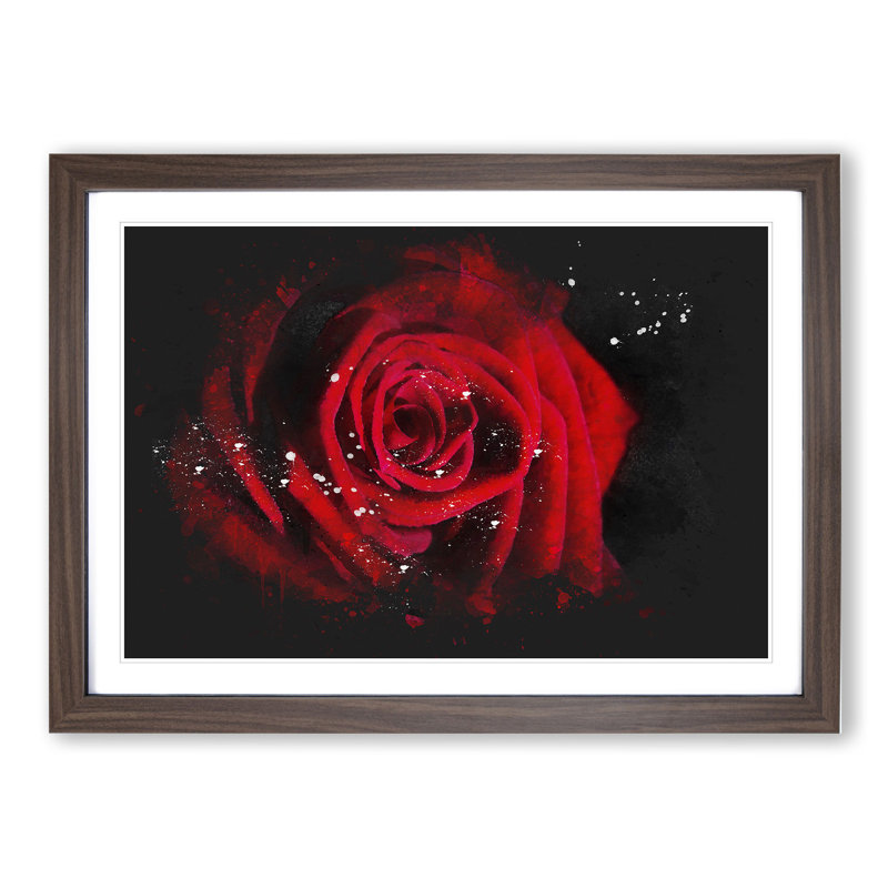 Red Rose Flower Vol.6 - Picture Frame Painting, Walnut Framed, 48cm H x 65cm W x 2cm D