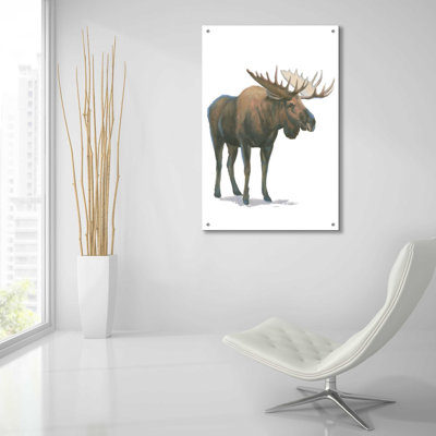 «Northern Wild VI» par James Wiens, art mural en verre acrylique