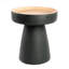 Negin Solid Wood End Table