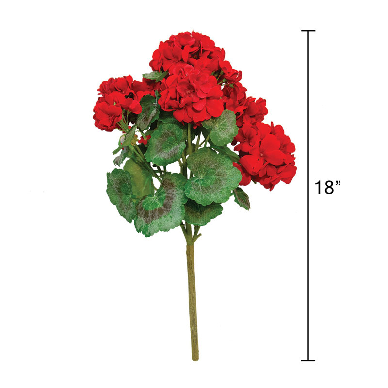 Geranium Bush, 18 po, rouge
