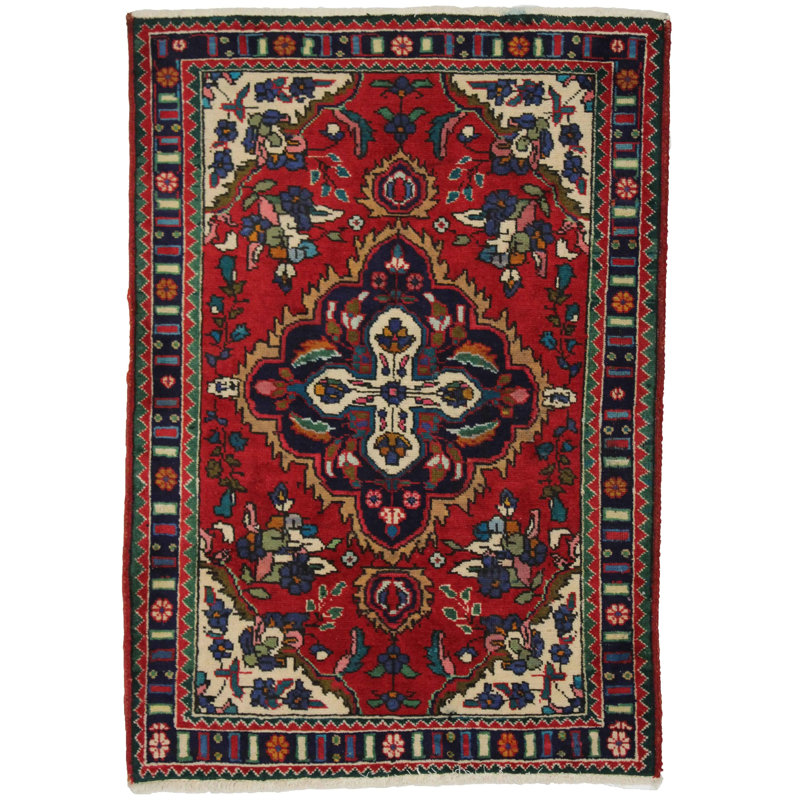 Niroy Oriental Area Rug in Red