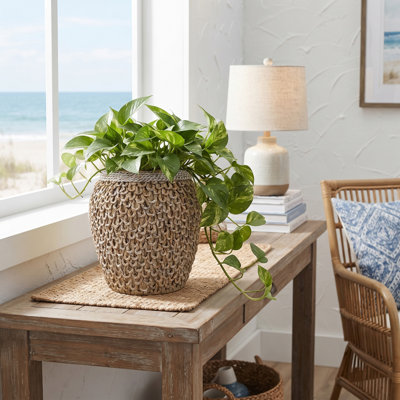 D9.5x11" Coastal Rope-Textured Cement Flower Pot