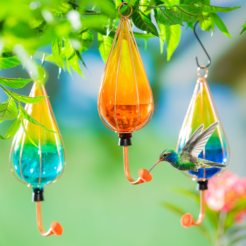 Lemelin Glass Hanging Hummingbird Feeder