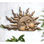 Half Sun Wall Plaque Wall Décor