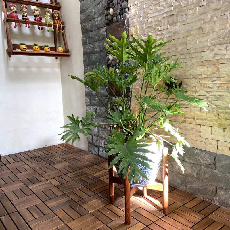 Support pour plante Akea, Brun, H 18 po x l 18 po x P 18 po