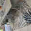 Customer photo 2 of 3