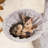 31 " H Cat Scratching Post-101925110