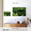 Régime vert Yarlin-108695198