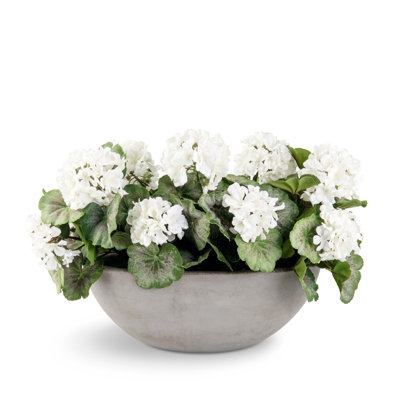 Arrangement d'hortensias Boule de Neige Félice