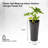 Leyanna Self-Watering Pot Planter-170647359
