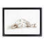 Sleeping Horse by Jean Bernard - Picture Frame Drawing Print-55619534-55619536