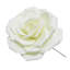 Grande tige rose en mousse-132110118-132110114
