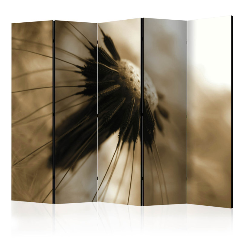 Hayg 225cm W x 172cm H 5 - Panel Solid Wood Folding Room Divider