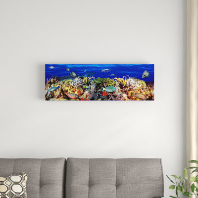 École de poissons nageant près d'un récif, reproduction de photo sur toile tendue