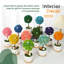 Centre de table Mossever en pot-1970813751
