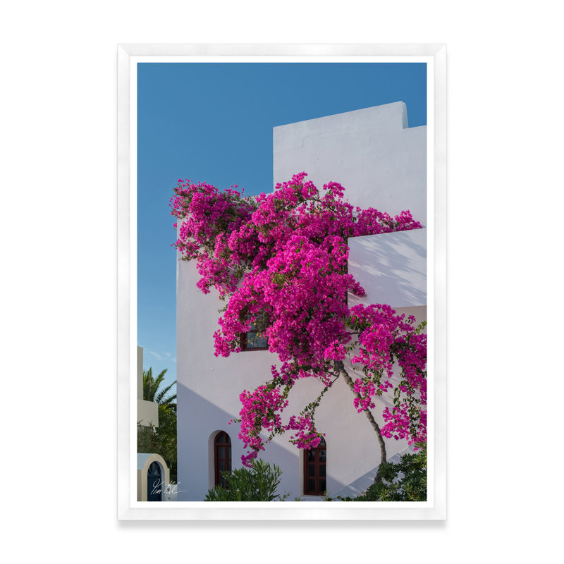 Bougainvillée grimpante I, Cadre blanc, H 54,75 po x l 37,5 po x P 1,5 po