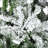 7.5/9Ft Tall Unlit Snow Flocked Pine Artificial Christmas Tree With Realistic Branches