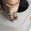 Bac à litière en acier inoxydable avec couvercle pour grand et plusieurs chats, facile à nettoyer, avec pelle, gris
