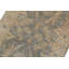Tapis de couloir en Tapis décoratif laine gris/beige 2 pi 7 po x 9 pi 4 po Baccio noué à la main 2000 Ziegler Kafkaz