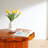 Round Glass Side Table-769861833