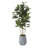 72'' Faux Rubber Tree Tree in Planter