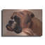 «Boxer» par Thomas Fluharty-636106000