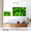 Gouttelettes Harnek sur feuilles vertes-108736802