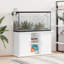 Epworth Aquarium Stand-1418947484