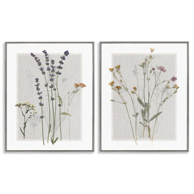 Delicate Wildflower Herb Sprig