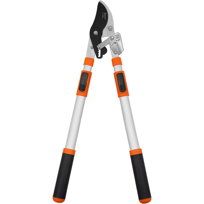 Outils de jardinage à cliquet