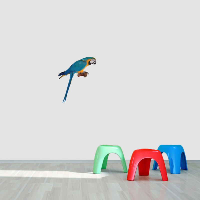 Adhésif décoratif d'un véritable perroquet, H 18 po x l 15 po