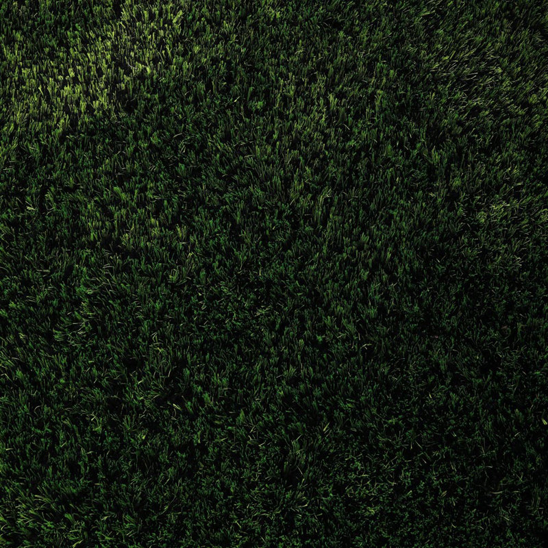 Bibianna HAND TUFTED SHAG POLYESTER ECO-FRIENDLY AREA RUGS - Green Color | Solid Design | Area Rugs for Living room,Bedroom