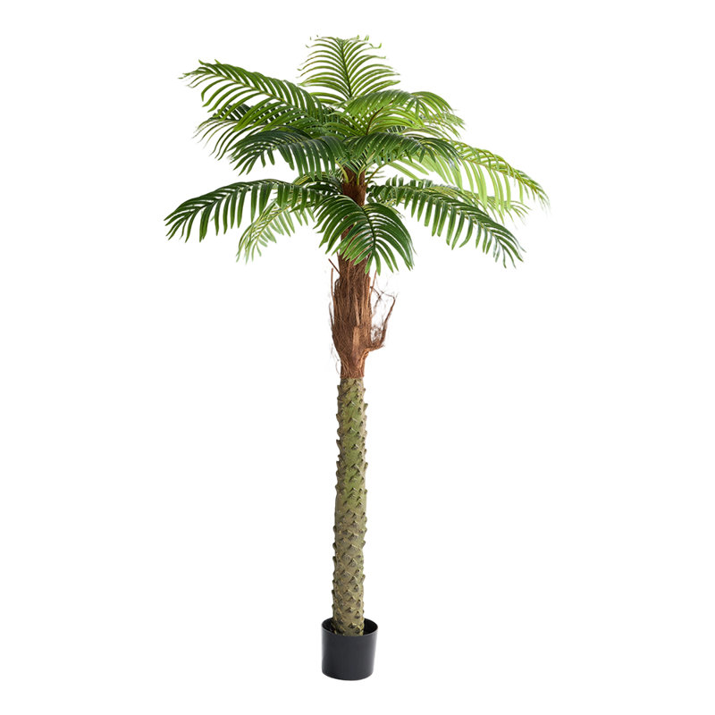 Faux Bonsai Tree in Pot, 200cm H x 107cm W x 107cm D