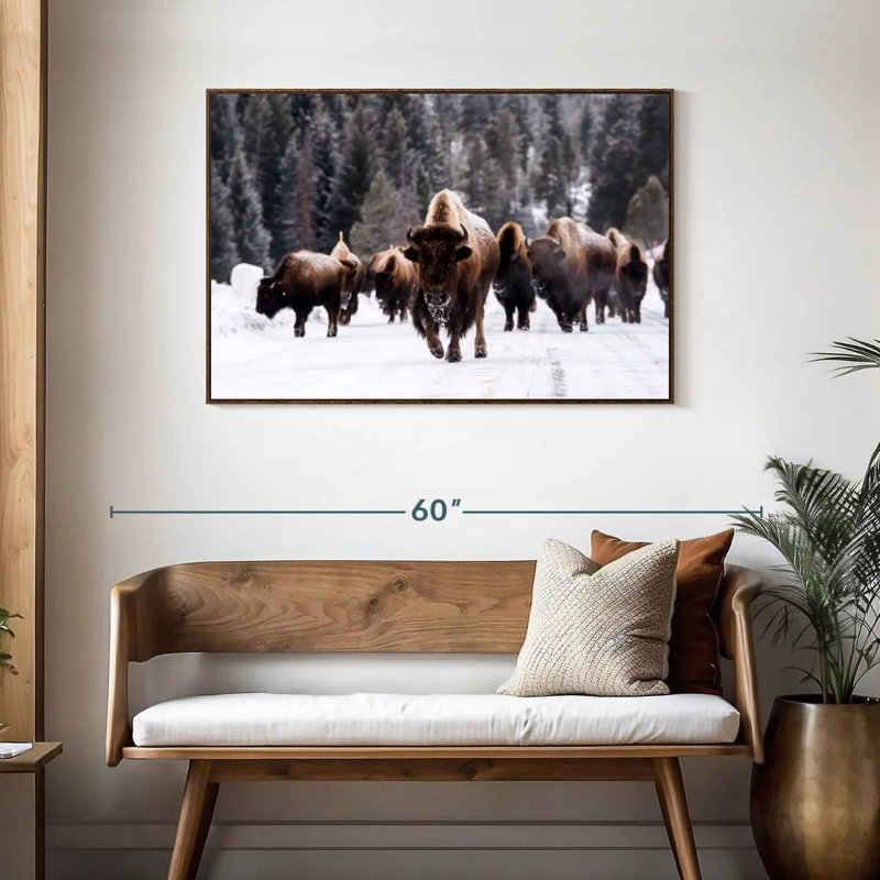 Winter Bisons, Floating Frame Walnut, 43" X 29"