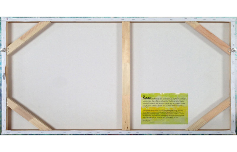 Parvez Taj - Wrapped Canvas Print, 76cm H x 152cm W