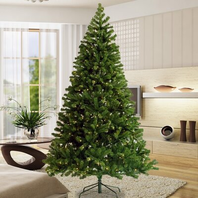 7.5' Green Spruce Artificial Christmas Tree with 450 Clear & White Lights -  The Holiday Aisle®, 7013CF422F8840169AE1D6CE5E7B57A9