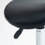 Rajmund Adjustable Height Ergonomic Lab Stool