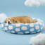 Lit pour animal de compagnie Lesure Cozy-442354693-448102535