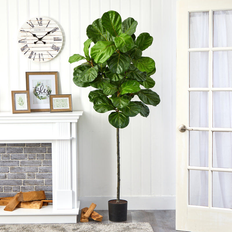 Faux Fiddle Leaf Fig Tree in Pot Liner, 78" H x 24" W x 24" D