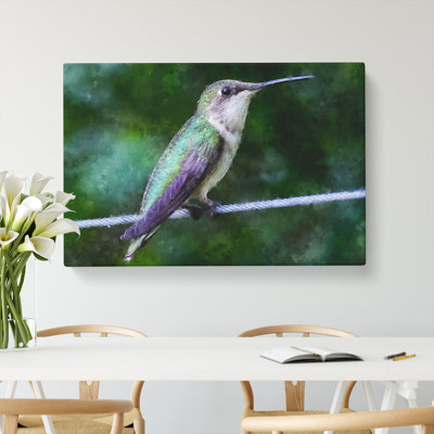 Hummingbird Vol.3 - Wrapped Canvas