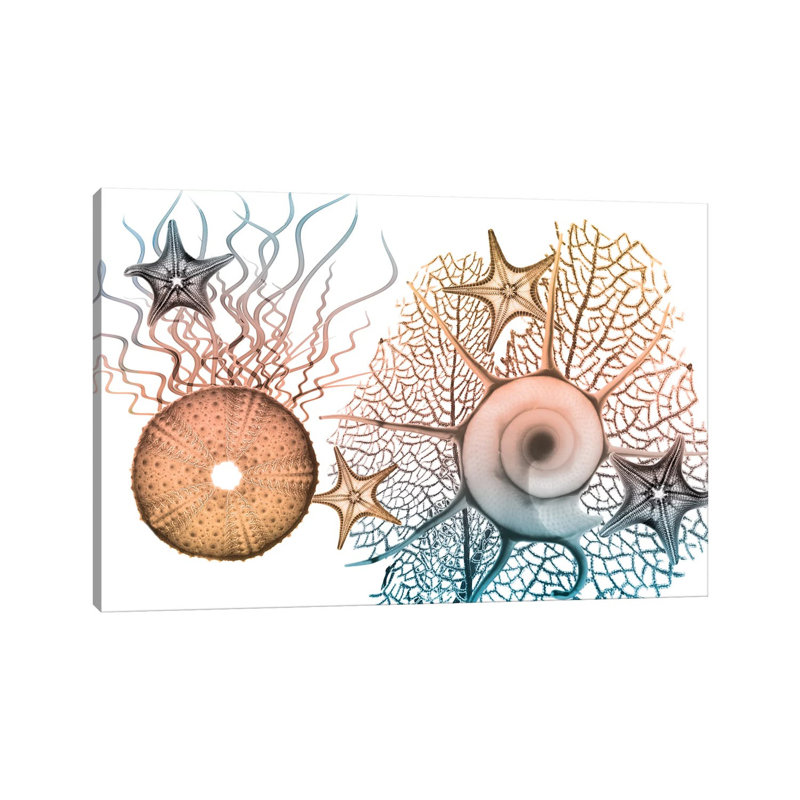 Sea Collective I by Albert Koetsier - Print on Canvas, 45.72cm H x 66.04cm W x 3.81cm D, Wrapped Canvas