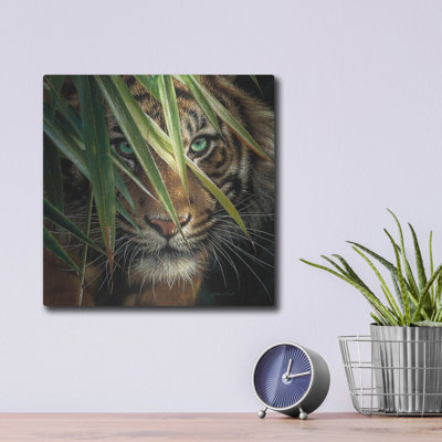 " Tiger Eyes " by Collin Bogle