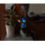 13 Novelty Light