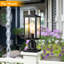 Lanterne d'extérieur 17 "H Dusk to Dawn