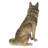 Sitting Coyate Statue