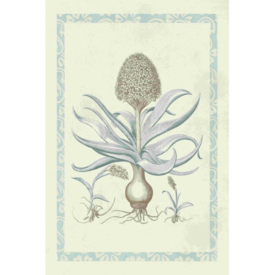 " Willow Blue Besler IV " by Vision Studio