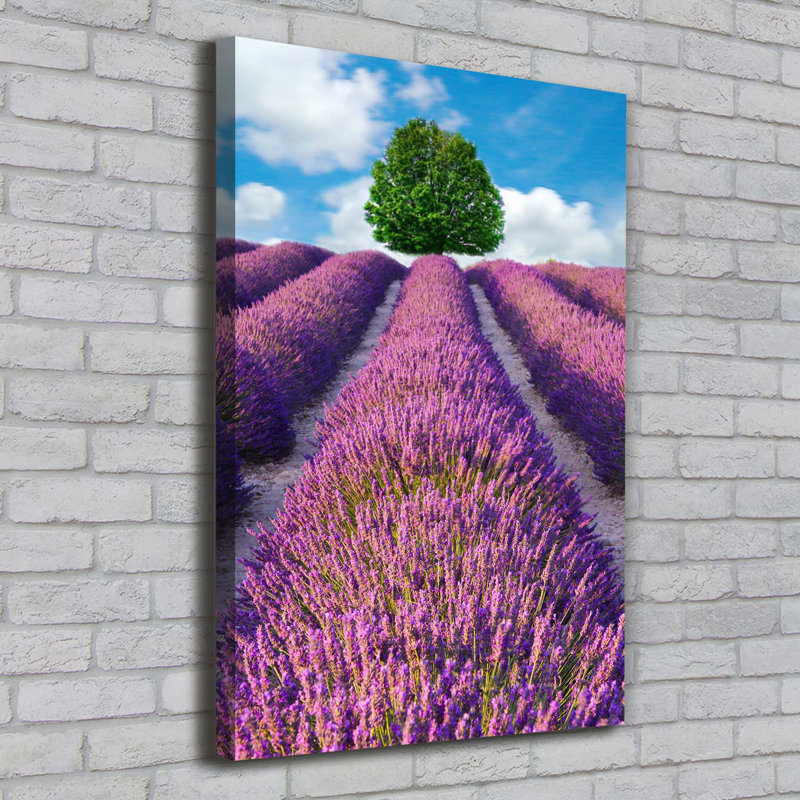 Lavender Field - Wrapped Canvas Print