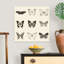 « Butterfly BW 9 patch » par Debra Van Swearingen-impression-1954175067-1954175064