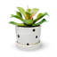 Agave en pot, plante grasse artificielle en céramique blanche 5 po